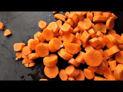 Sopa de moro para perros 🥕
