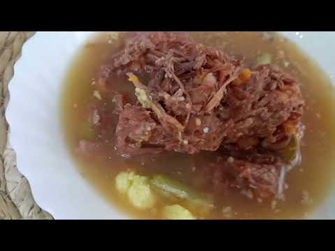 🐶 Probando un guiso para perros de Naturextra 🍲 y enseñando la valla para proteger a los gatos 🐶🚧🐱