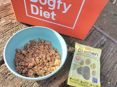 ⭐ Opiniones de Dogfy diet ✅ reales 100% ✅ Testeado 🐶 ¡Comprueba qué le parece a nuestros perros!