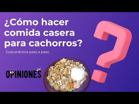 Comida casera para cachorros 😍 Receta Completa y Balanceada