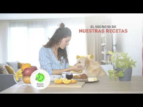 bonÀrea Mascota - ¿Cómo elegir la correcta alimentación que ofrece bonÀrea para nuestras mascotas?